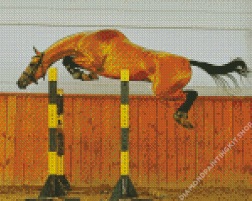 Horse Jumping Diamond Painting