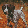 Hunting Dog German Shorthaired Diamond Painting