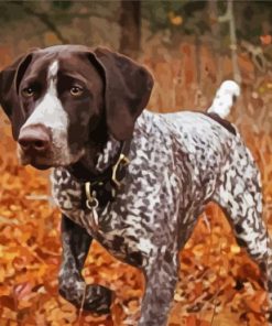 Hunting Dog German Shorthaired Diamond Painting