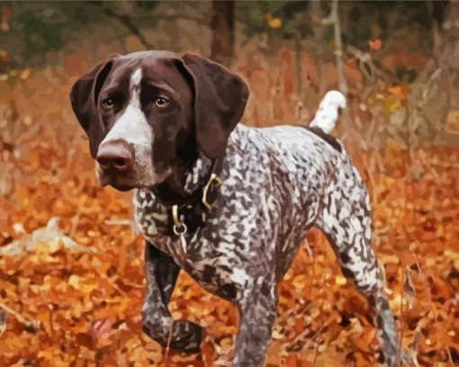 Hunting Dog German Shorthaired Diamond Painting