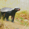 Aesthetic Honey Badger Diamond Painting