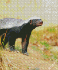 Aesthetic Honey Badger Diamond Painting