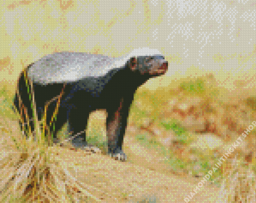 Aesthetic Honey Badger Diamond Painting