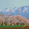 Japan Cherry Blossom Garden Landscape Diamond Painting