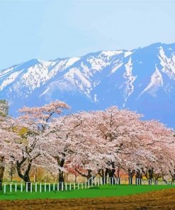 Japan Cherry Blossom Garden Landscape Diamond Painting