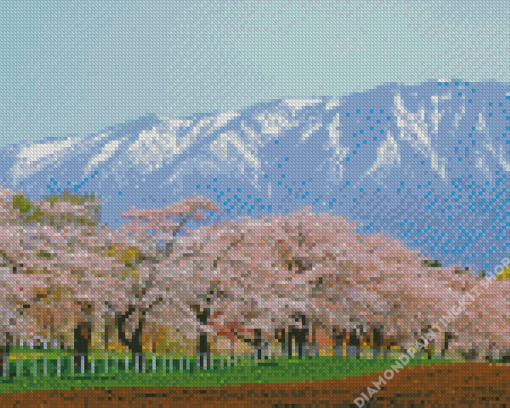 Japan Cherry Blossom Garden Landscape Diamond Painting