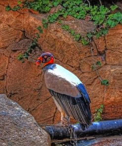 King Vulture Diamond Painting