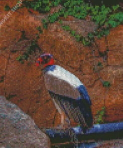 King Vulture Diamond Painting