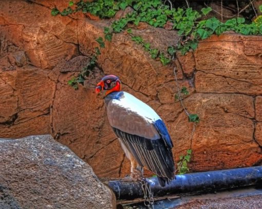 King Vulture Diamond Painting