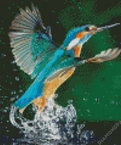 Kingfisher Birds In Water Diamond Painting