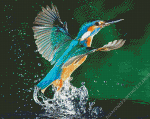 Kingfisher Birds In Water Diamond Painting