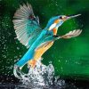 Kingfisher Birds In Water Diamond Painting