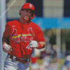 Louis Cardinals Player Diamond Painting