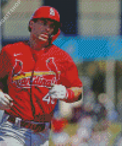 Louis Cardinals Player Diamond Painting