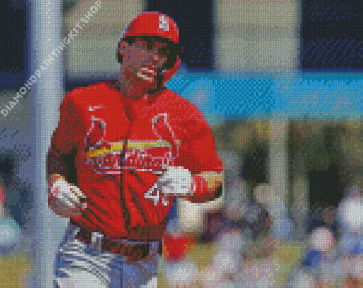 Louis Cardinals Player Diamond Painting