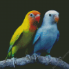 Lovebirds Diamond Painting