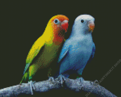 Lovebirds Diamond Painting