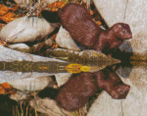 Mink Baby Reflection Diamond Painting