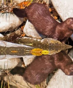 Mink Baby Reflection Diamond Painting