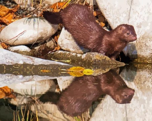 Mink Baby Reflection Diamond Painting