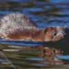 Mink Swimming Diamond Painting