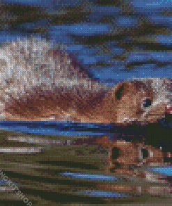 Mink Swimming Diamond Painting