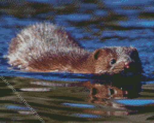 Mink Swimming Diamond Painting