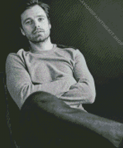 Monochrome Sebastian Stan Diamond Painting