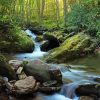 Mountain Stream Nature Diamond Painting