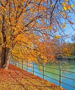 Munich Golden Leaves Promenade Diamond Painting