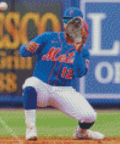 New York Mets Baseball Team Player Diamond Painting