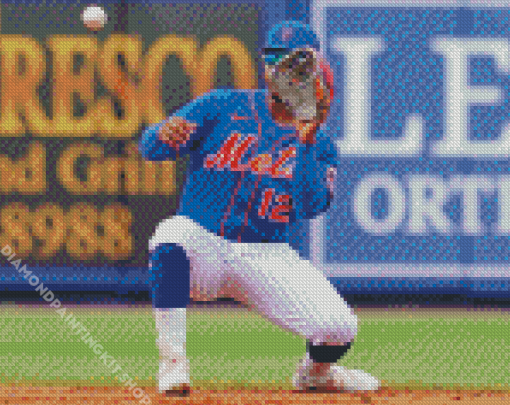 New York Mets Baseball Team Player Diamond Painting