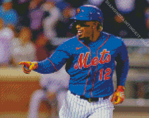 New York Mets Team Baseballer Diamond Painting