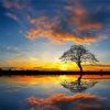 Panorama Tree By Water At Sunset Diamond Painting