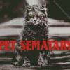 Pet Sematary Poster Diamond Painting