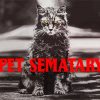 Pet Sematary Poster Diamond Painting