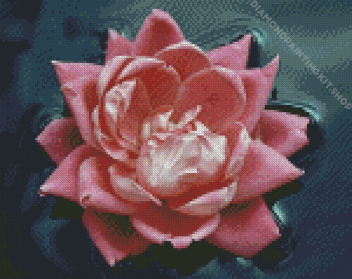 Pink Flower In Water Diamond Painting