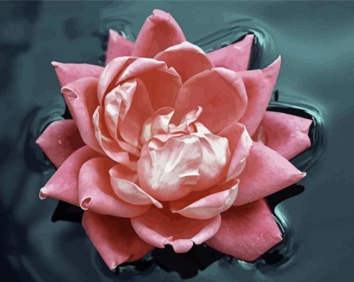 Pink Flower In Water Diamond Painting