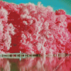 Pink Trees Landscape Diamond Painting