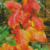 Poison Ivy Foliage Autumn Diamond Painting