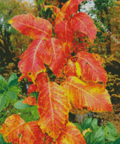 Poison Ivy Foliage Autumn Diamond Painting