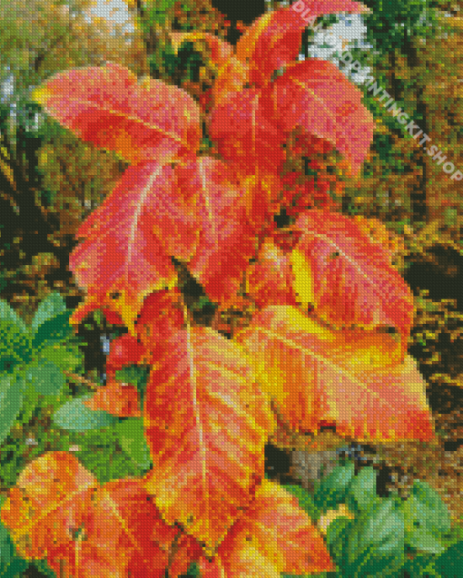 Poison Ivy Foliage Autumn Diamond Painting