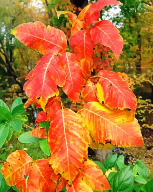 Poison Ivy Foliage Autumn Diamond Painting