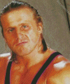 Professional Wrestler Owen Hart Diamond Painting