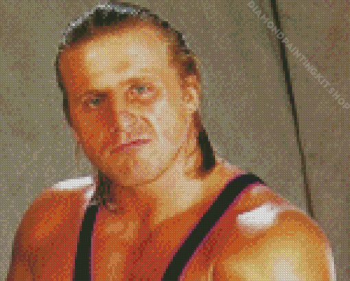 Professional Wrestler Owen Hart Diamond Painting