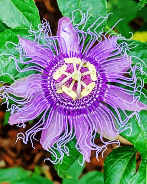 Purple Passion Flower Diamond Painting