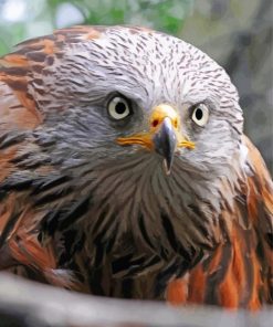 Red Kite Bird Head Diamond Painting