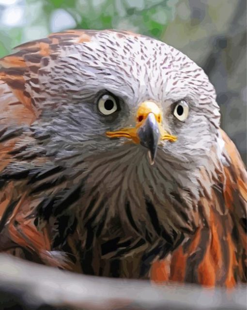 Red Kite Bird Head Diamond Painting