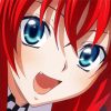 Rias Gremory Anime Character Diamond Painting