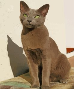 Russian Blue Cat Diamond Painting